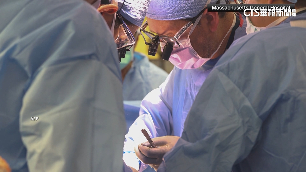 全球醫學史首例！　美男成功移植基因改造豬腎