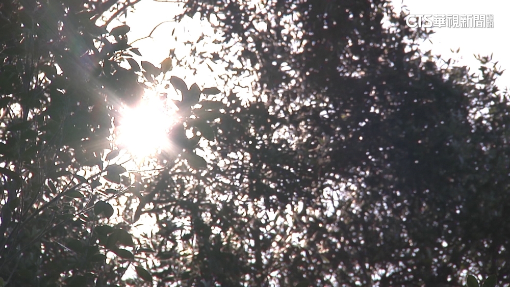 今溫暖偏熱日夜溫差大　中南部高溫局部可達36度