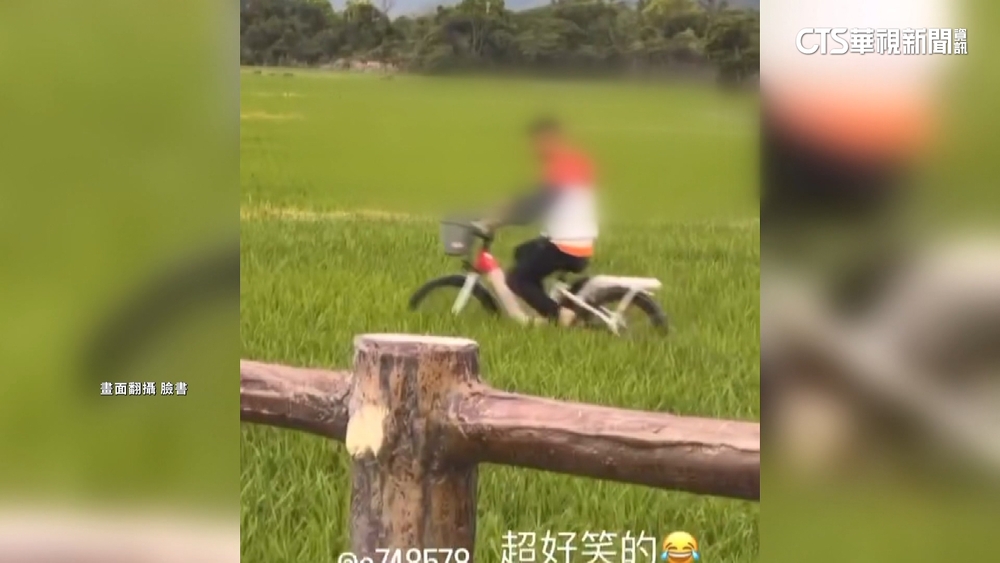 遊客嬉笑騎鐵馬輾稻田　鎮長怒：關山不歡迎你們！