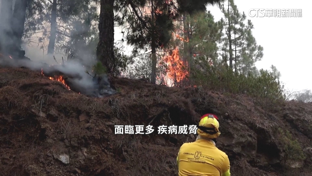 氣候危機=健康危機？　學者：人類恐更易接觸病原體