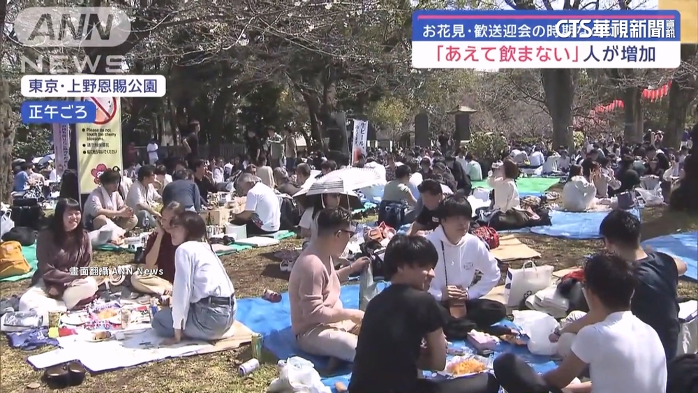 賞櫻不再喝得醉醺醺　日本年輕人流行「不碰酒」