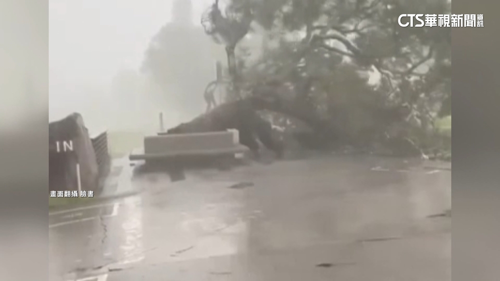 淡水樹倒險壓高球車　蘆洲雷擊變電箱竄火花