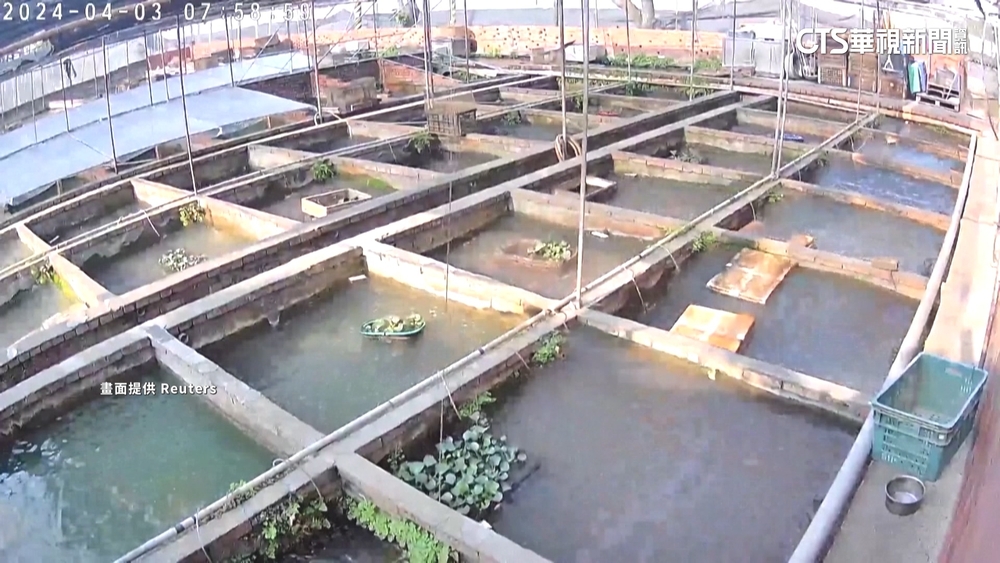 台灣7.2強震外媒關注　彰化魚塭變「海波浪」