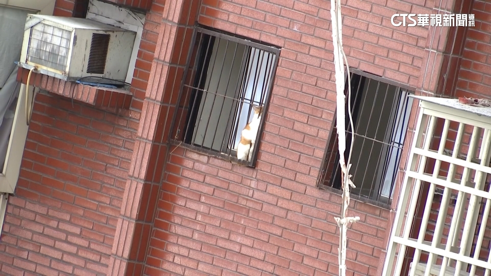 搶救「橘子」大作戰！　天王星拆除作業一度暫停