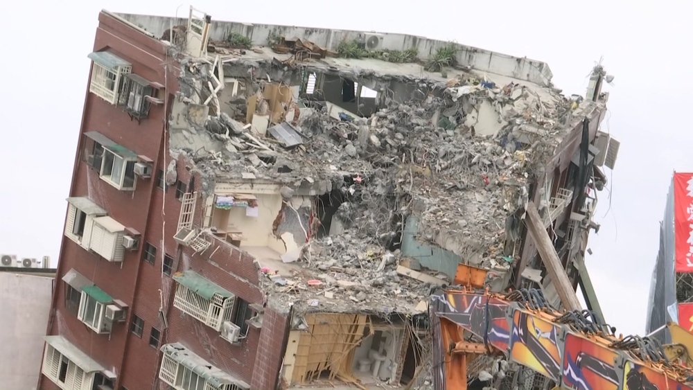 花蓮天王星大樓救出2貓　康老師愛貓「貓咪」待救援 網友外送青菜給雞吃