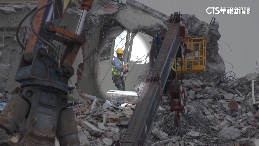 現場直擊！康老師橘貓出沒5樓　工程員冒險救出