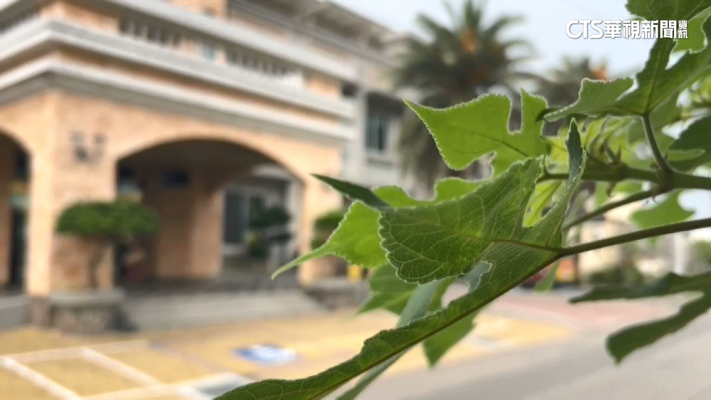 某私幼園長涉詐超過6千萬　50多人受害　園方急發3點聲明