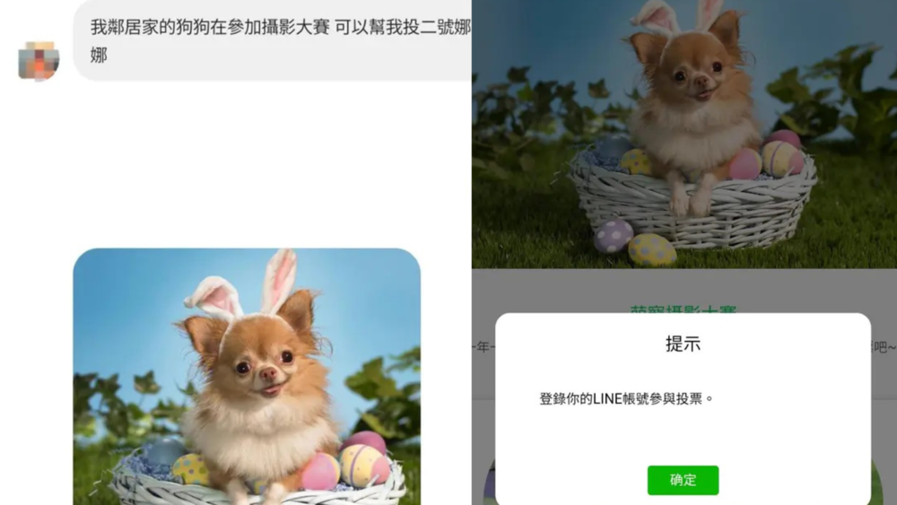 收「幫投2號娜娜」拉票訊息　一票網幫投後LINE秒被盜走 最慘被刪帳