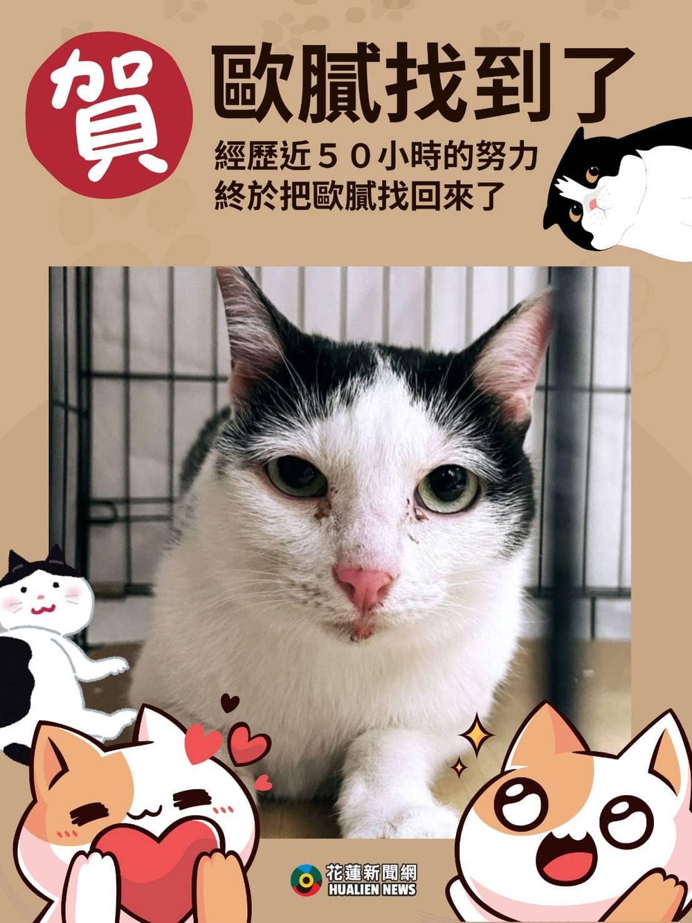 天王星5隻貓全數獲救！ 最後1乳牛貓「歐膩」回家了