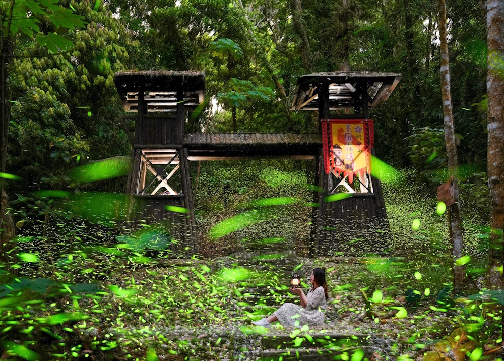 嘉義縣推6條親子共遊步道 白天走步道晚上賞螢光