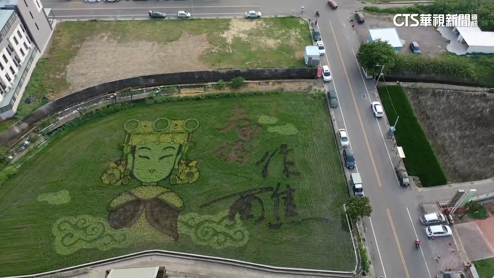 稻田彩繪「天后駕稻」！　喜迎白沙屯媽.大甲媽.香燈媽