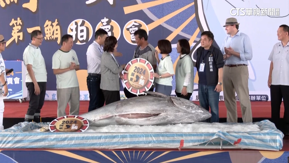 屏東第一鮪競標　總重301.8公斤　310萬3千拍出