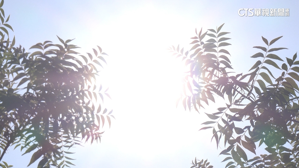 熱到像烤箱！　3縣市高溫創紀錄　冰店湧人潮消暑