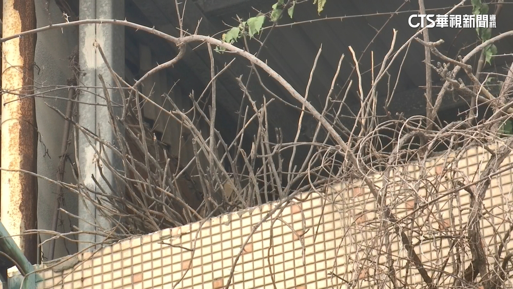 百歲老翁成白骨 女兒「垃圾袋藏屍」 里長稱：她單純捨不得　　