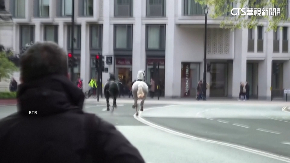 英騎兵隊馬匹街頭暴走　橫衝直撞至少5人受傷