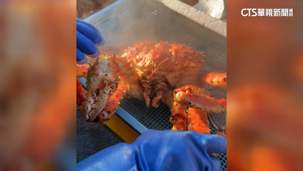 遊北海道帝王蟹遭掉包　台遊客：喊報警店家才承認