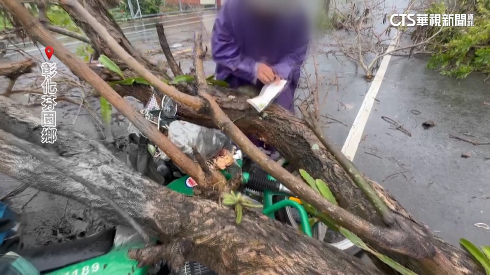 彰化大雨奪命劫！路樹砸中「送信郵差」傷重不治