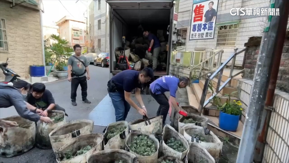 警破門起出價值10億大麻逮6人　主嫌戴240萬名錶