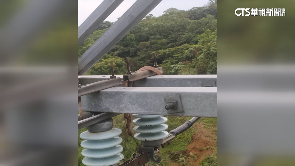 桃園又停電近萬戶抱怨　禍首是強降風.蛇害