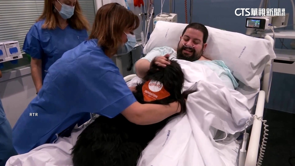 助病患紓壓情緒！　「治療犬」醫院出任務