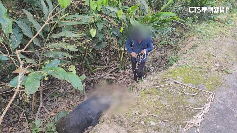 被控闖私地.違用山豬吊　退休警否認違法