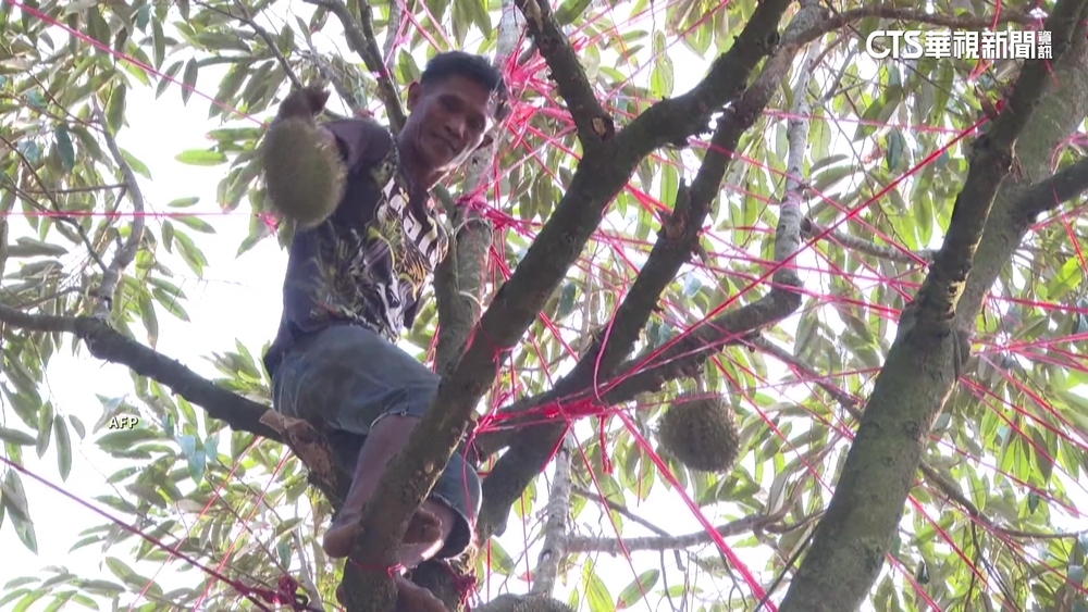 熱浪襲擊東南亞　泰國飆高溫迄今38人中暑死