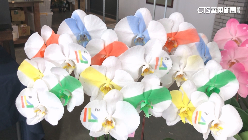 520國宴布置曝光！　奈米技術染29國「國旗蘭」迎賓