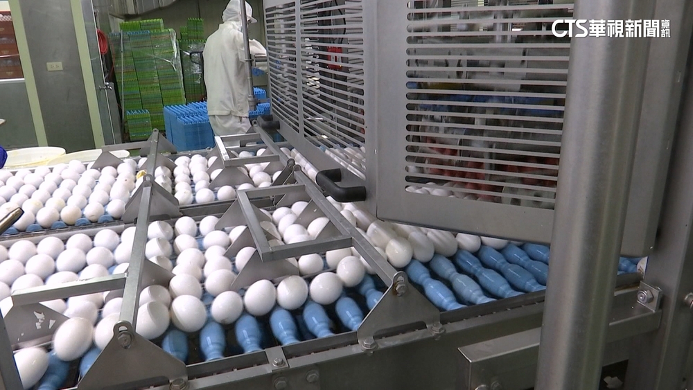 全台最大蛋液商　「蛋盡其用」廢棄蛋殼變白金