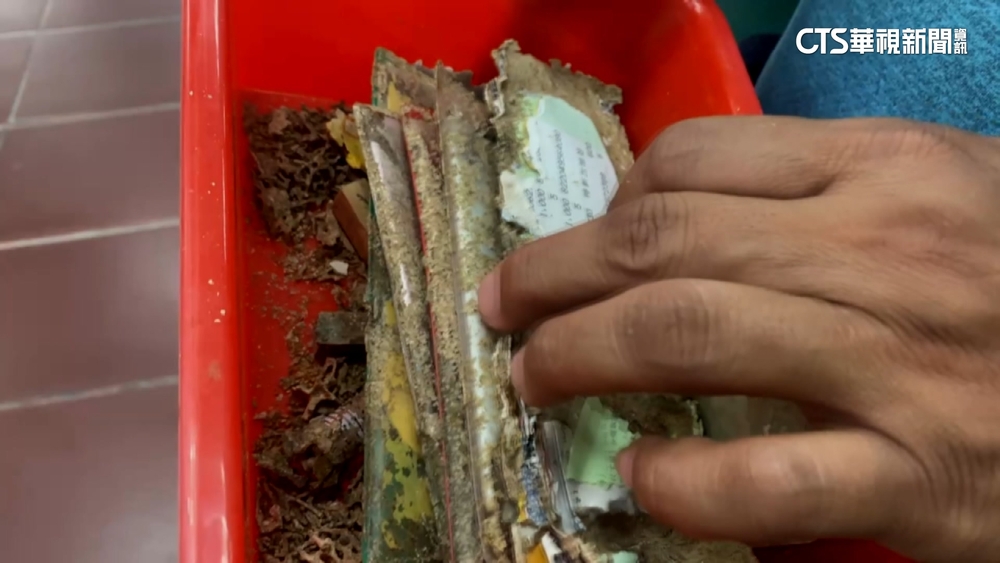 男子5本存摺放木抽屜　半年被白蟻啃成碎屑