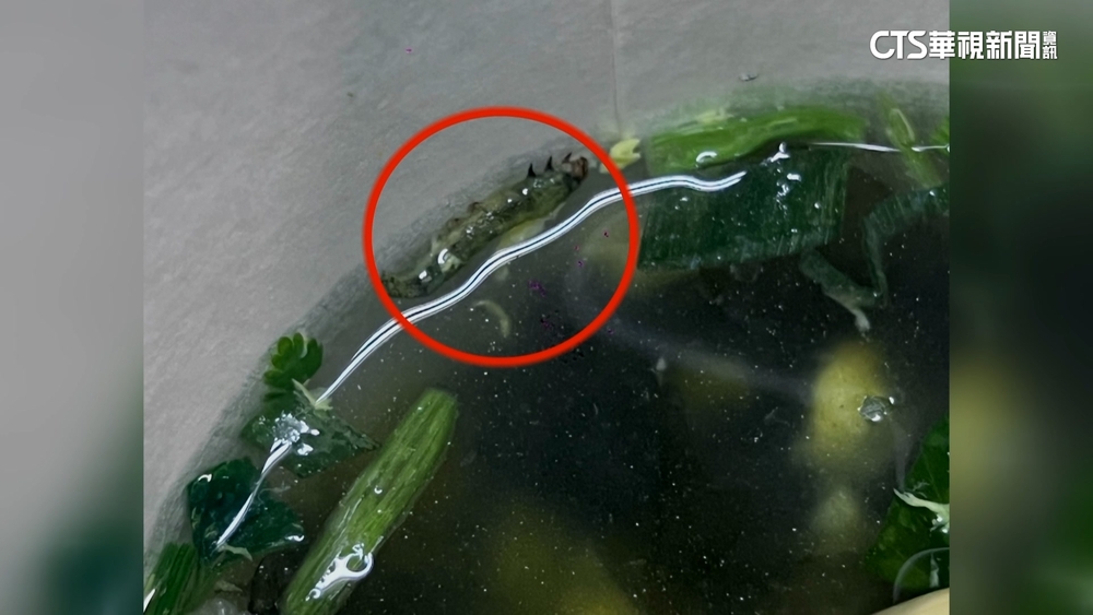 噁！超商湯品疑喝到「毛毛蟲」　公司：了解狀況中