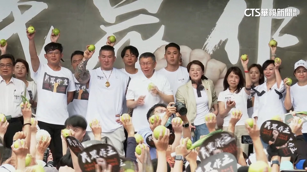 白營上街頭嗆執政黨跳票　綠委諷：小草變「小蔥」