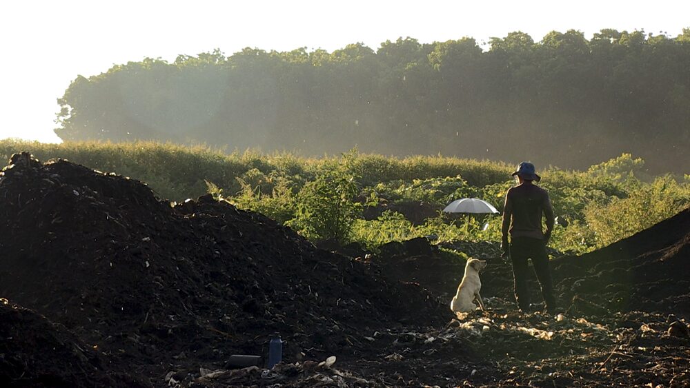導演顏蘭權睽違20年的新作《種土》(Soul of Soil),娓娓道出農民的辛酸血淚與人生哲學。(圖/台北電影節提供)