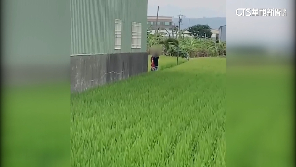 「偷車連小六童也載走」　警赤腳奔田裡抓賊