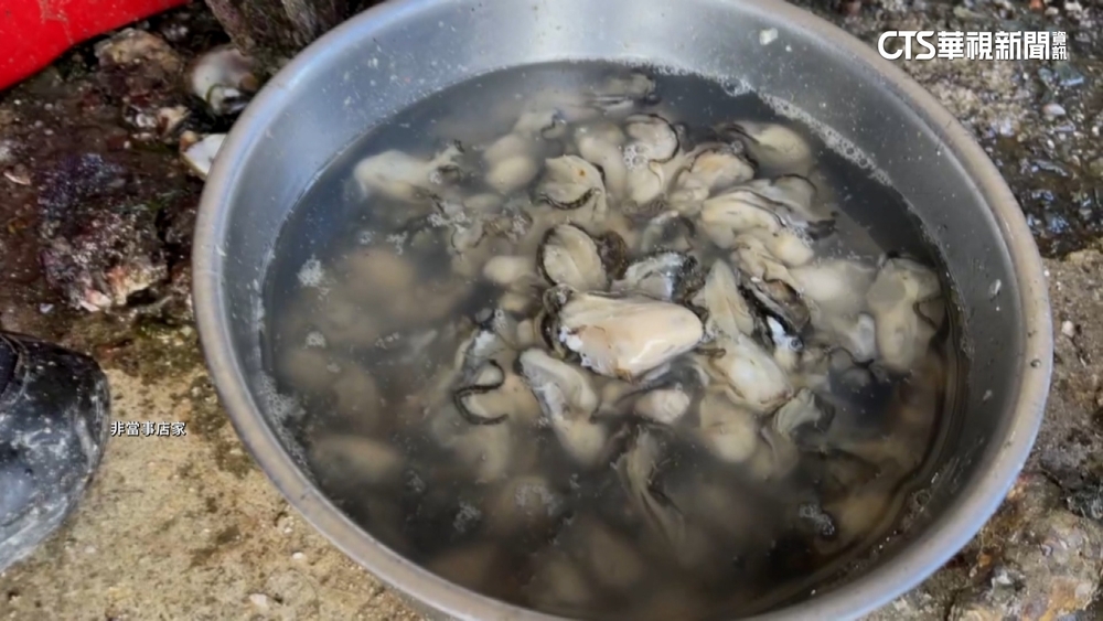 牡蠣產量少！越南成進口大宗　不肖商「低價混充」牟利