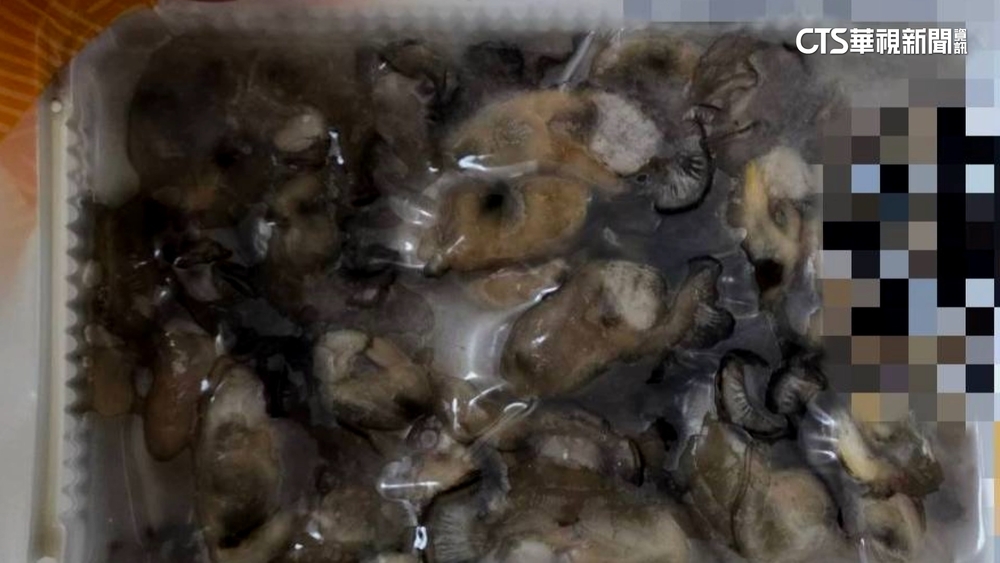 竄改標籤！低價東南亞牡蠣　混充本土貨高價賣