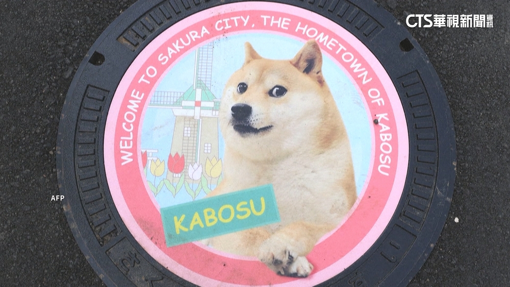 網路最紅迷因之一　「狗狗幣」本尊Kabosu逝世