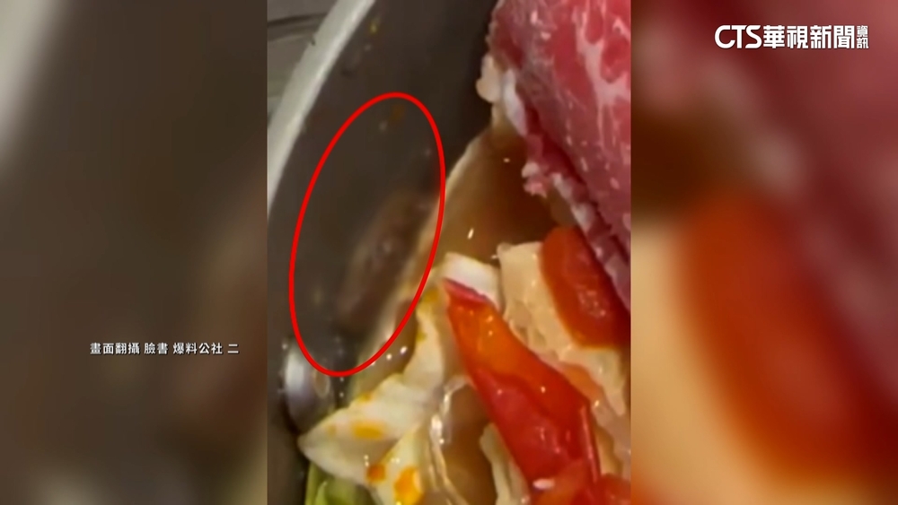 火鍋再現活蛞蝓　店家：按SOP備菜　專家：疑天氣太潮濕