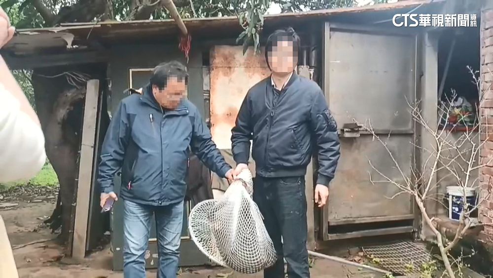 去年3月六福村狒狒遭射殺　獵人出庭還原經過：無法辨認是誰下令