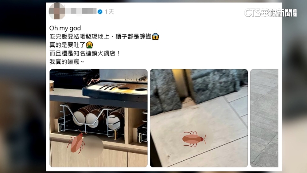 知名連鎖火鍋驚見蟑螂！業者道歉　衛生局揪2缺失