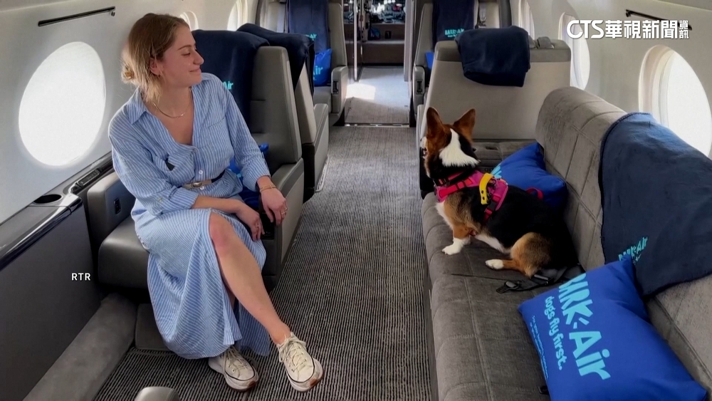 毛小孩飼主開心！　美打造全球首家狗狗專屬航空