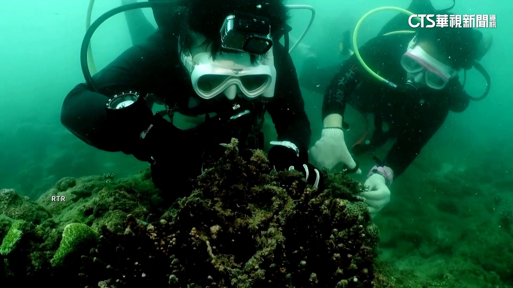 守護海洋！　泰國潛水團清除珊瑚礁「幽靈漁具」