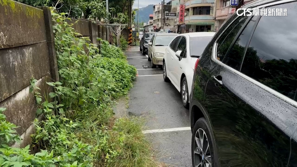 車格邊驚見青蔥.鳳梨！　埔里停車「格格不入」