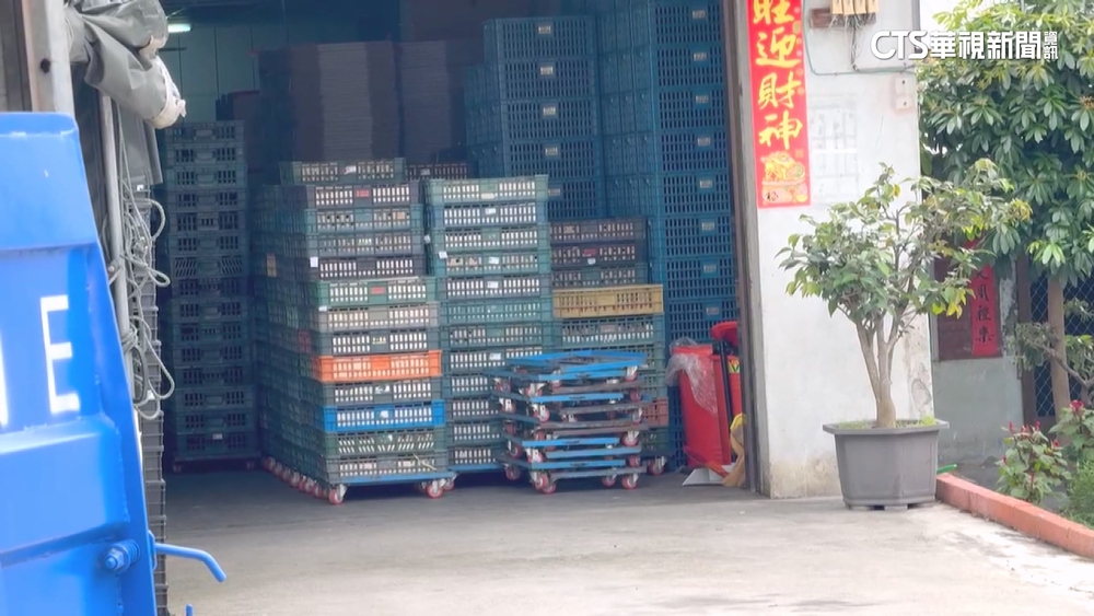 中部雞與蛋驗出「氟甲磺氯黴素」　過量影響消化系統