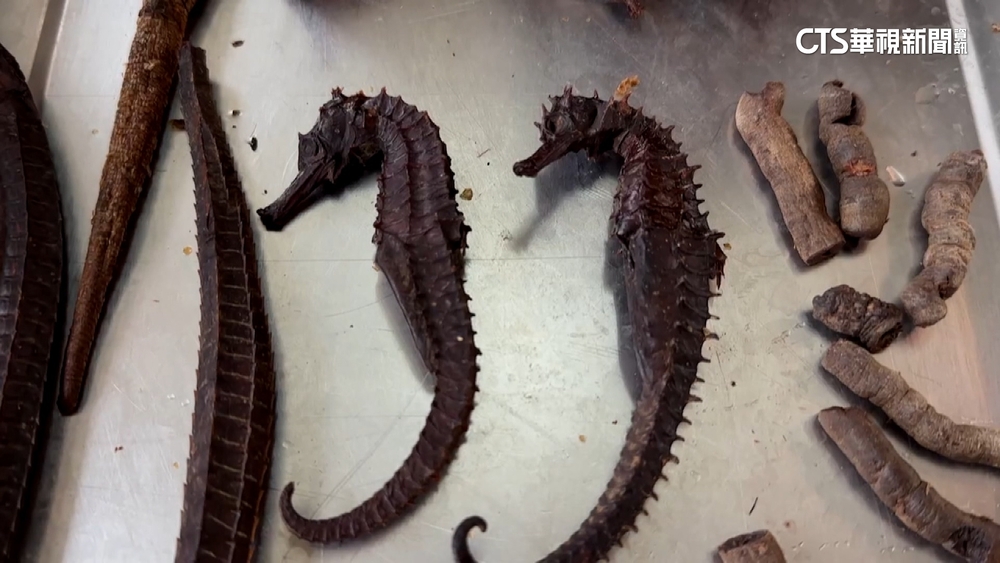 花8千元買中藥材！　苗栗民代喝10年藥酒竟「全是塑膠」