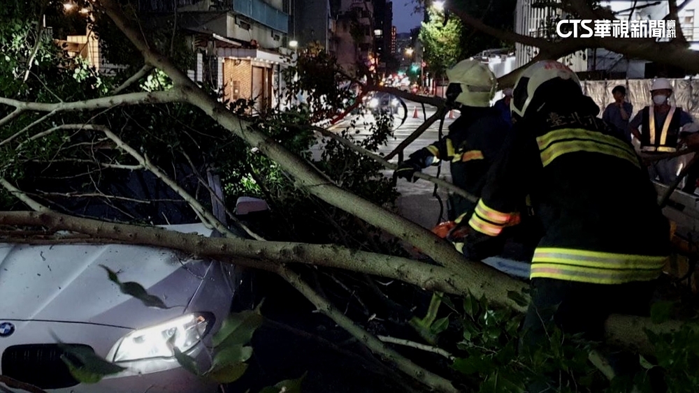 北市路樹倒塌3人被壓車中　所幸無人傷亡