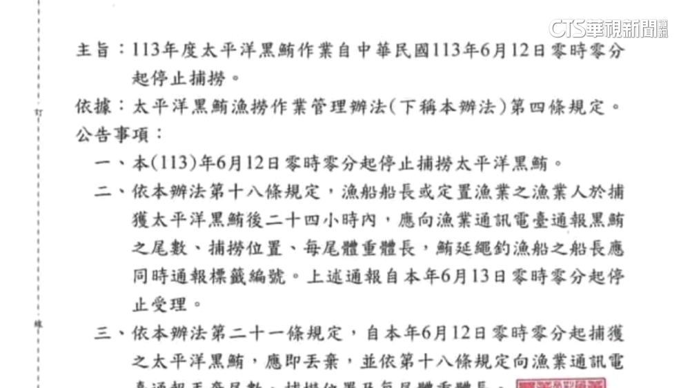 黑鮪大豐收！漁季提早結束　漁署：6/12起禁捕撈