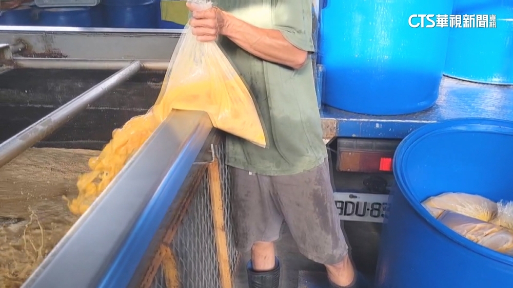 多到餵豬！蛋價跌3元創近2年新低　公會籲降價增買氣