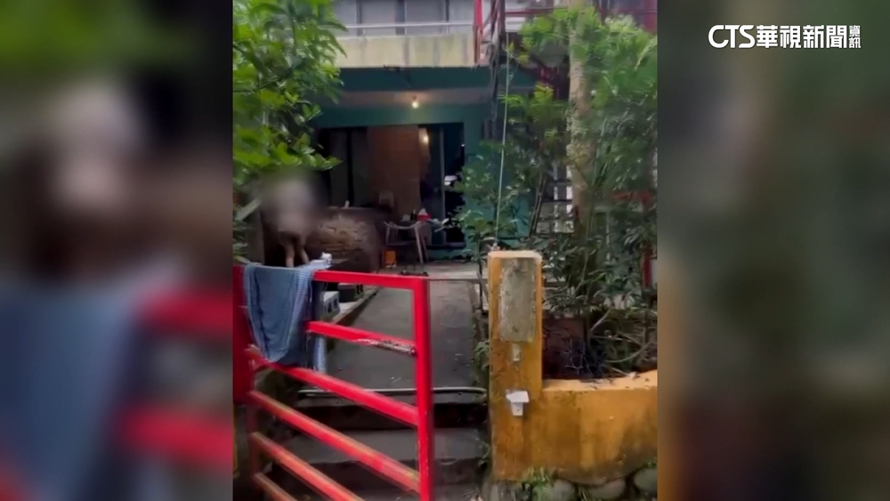 端午花2400訂三芝民宿像廢墟　遭控業者：不營業了