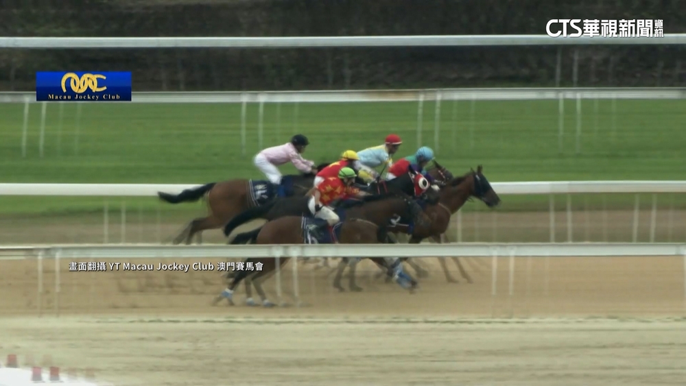 金門設觀光賽馬場？縣府擬修離島條例　議員反對