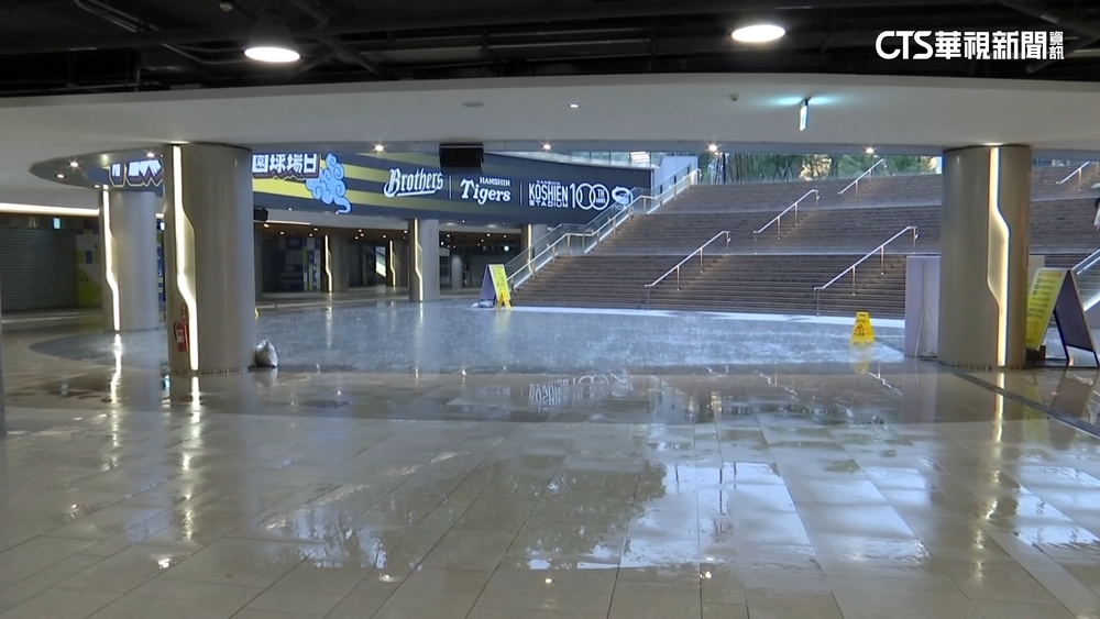 扛不住豪雨！　大巨蛋狂積.漏水　遠雄歉：排水不及